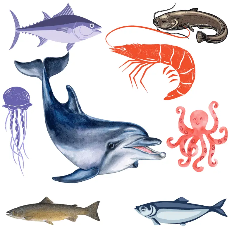 A dolphin next to different food varieties that they eat